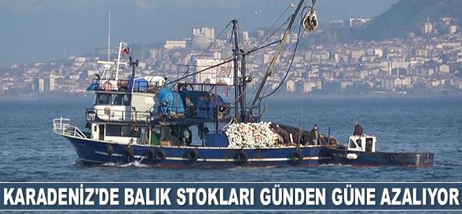 Karadeniz'de balık stokları azalıyor