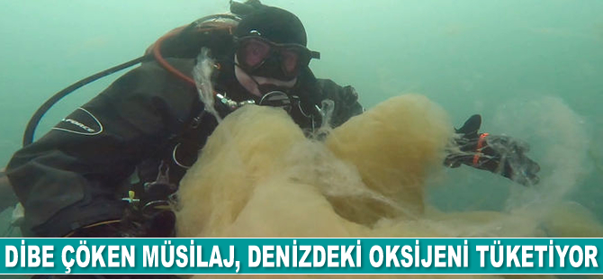 Dibe çöken müsilaj, denizdeki oksijeni tüketiyor
