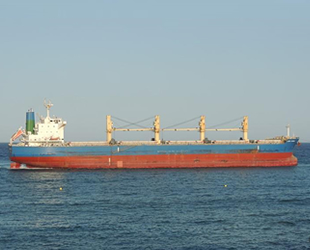 MEGHNA LIBERTY isimli geminin aşçısı kaptanı öldürdü