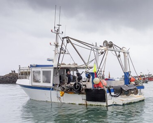 Fransa ile İngiltere arasındaki balıkçılık krizi büyüyor