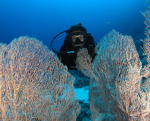 Filipinler, Thomas resifindeki ileri karakolun kaldırılması talebini reddetti