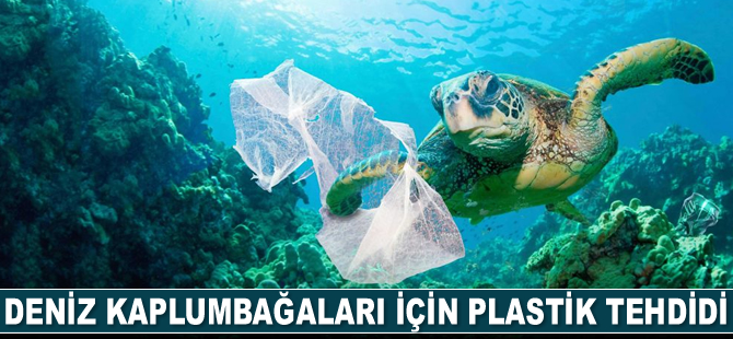 Plastik kirliliği, deniz kaplumbağalarını tehdit ediyor