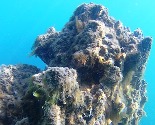 Van Gölü’nün sırları, Adilcevaz'da sergilenecek