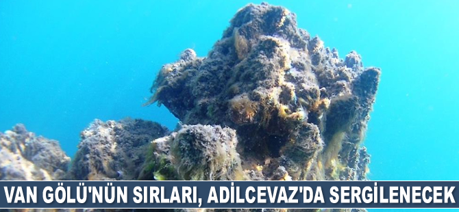 Van Gölü’nün sırları, Adilcevaz'da sergilenecek