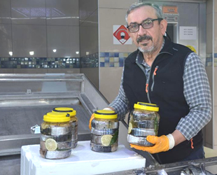 Torik balıklarından yapılan lakerdalar satışa sunuluyor