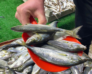 Denizde balık azaldı, tezgahlarda fiyatlar arttı