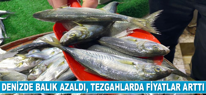Denizde balık azaldı, tezgahlarda fiyatlar arttı