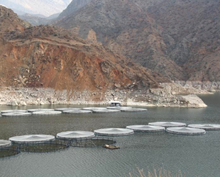 Ayvalı Baraj Gölü’nde balıkçılığı üretimi yapan işletme sayısı artırıldı