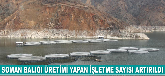 Ayvalı Baraj Gölü’nde balıkçılığı üretimi yapan işletme sayısı artırıldı