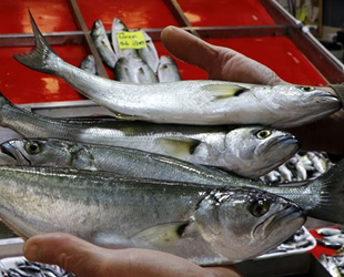 Balık çeşidi azaldı, fiyatlar tezgahlara yansıdı