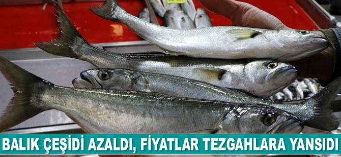 Balık çeşidi azaldı, fiyatlar tezgahlara yansıdı