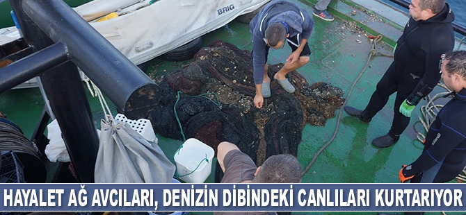 Hayalet ağ avcıları, denizin dibini arşınlayarak canlıları kurtarıyor