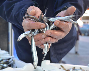 Fırtına balıkçıları vurdu, fiyatlar ikiye katlandı