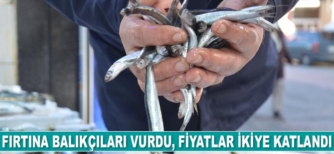 Fırtına balıkçıları vurdu, fiyatlar ikiye katlandı
