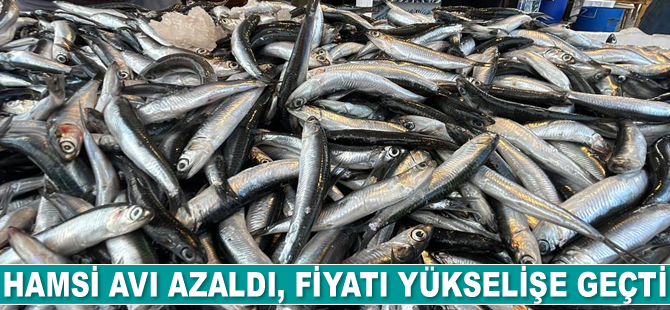 Hamsi azaldı, fiyatı yükselişe geçti