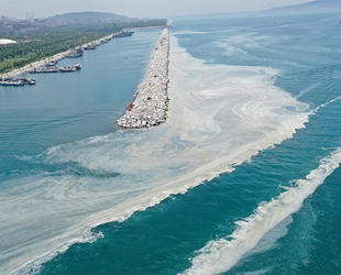 Yeni çevre kirliliği yönetmeliği yayımladı