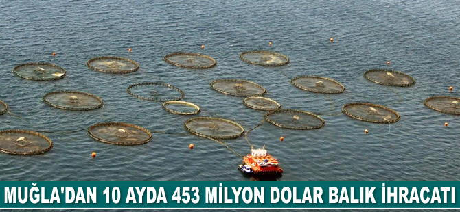 Muğla’dan 54 ülkeye 453 milyon dolarlık balık ihracatı gerçekleştirildi