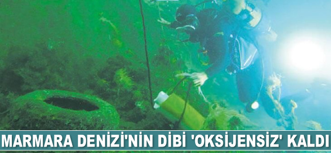 Marmara Denizi’nin dibi ‘oksijensiz’ kaldı