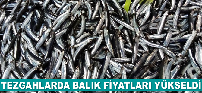 Tezgahlarda balık fiyatları yükseldi