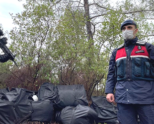 Muğla'da Arnavutluk'tan getirilen 1.5 ton skunk ele geçirildi