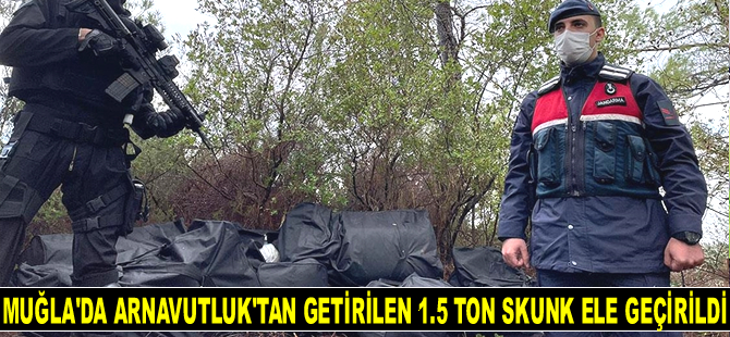 Muğla'da Arnavutluk'tan getirilen 1.5 ton skunk ele geçirildi