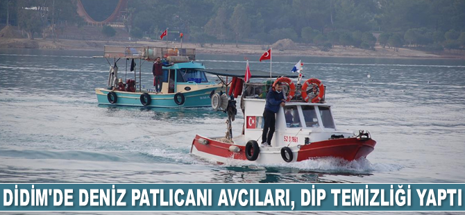 Didim'de deniz patlıcanı avcıları dip temizliği yaptı