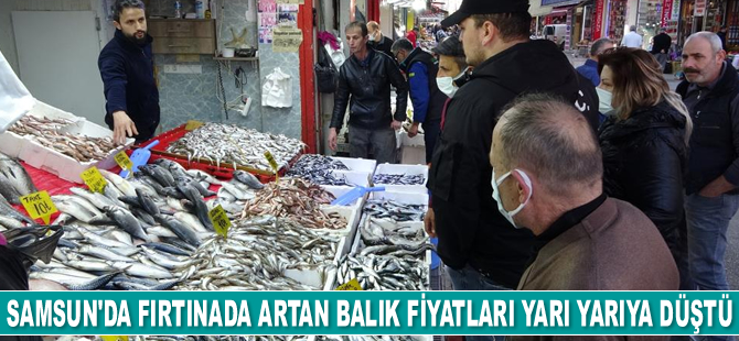 Samsun'da fırtınada artan balık fiyatları yarı yarıya düştü
