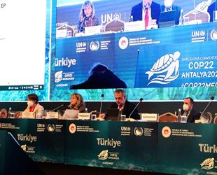 22. Taraflar Konferansı, Antalya'da devam ediyor