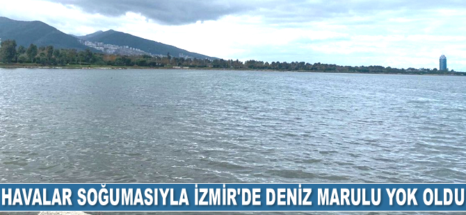 Havalar soğumasıyla İzmir'de deniz marulu yok oldu