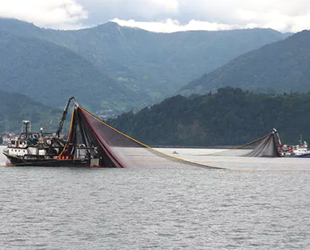 Karadeniz ısınıyor, balık stokları azalıyor