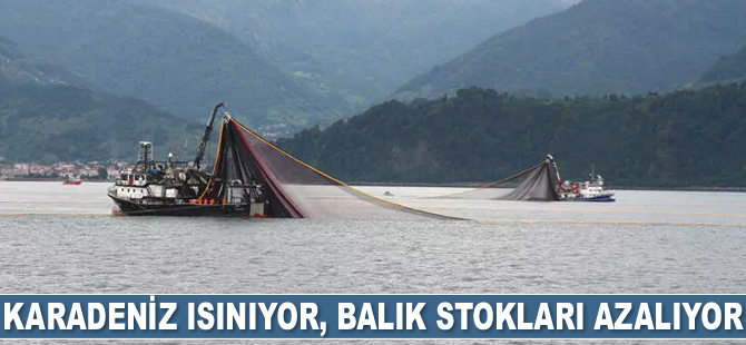 Karadeniz ısınıyor, balık stokları azalıyor
