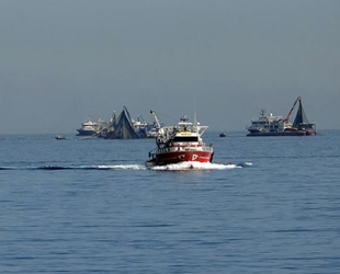 Türk balıkçılar, Gürcistan’da hamsi avlayacak