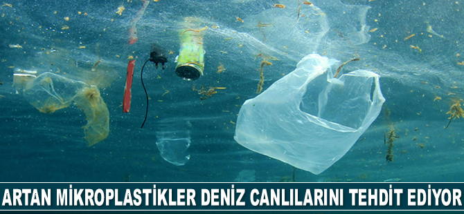 Akdeniz'de artan mikroplastikler deniz canlılarını tehdit ediyor