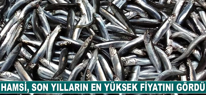 Hamsi, son yılların en yüksek fiyatını gördü
