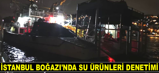 İstanbul Boğazı’nda 37 adet gemi ve tekne kontrol edildi