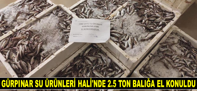 Gürpınar Su ürünleri Hali'nde 2.5 ton balığa el konuldu