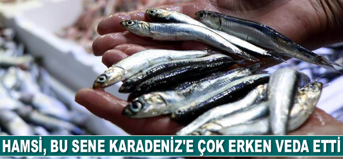 Hamsi, bu sene Karadeniz’e çok erken veda etti