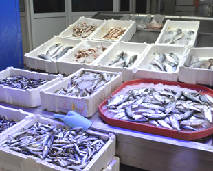 Balıkçılar denize açılamayınca tezgahlar boş kaldı, fiyatlar yükseldi