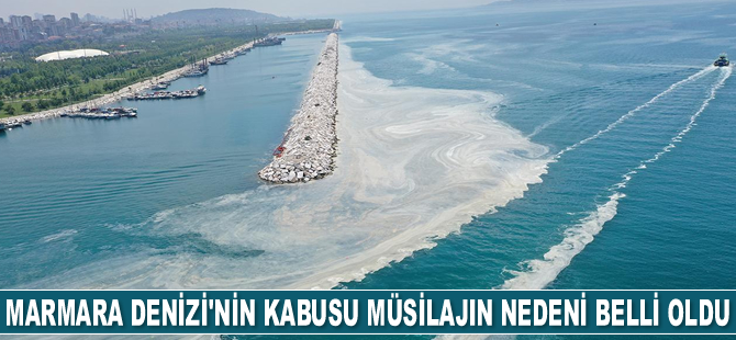 Marmara Denizi’nin kabusu müsilajın nedeni belli oldu