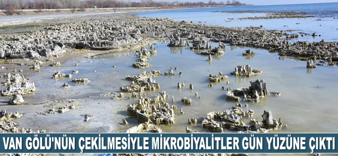 Van Gölü’nün çekilmesiyle yeni mikrobiyalitler gün yüzüne çıktı