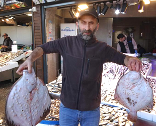 Balıkçı tezgahlarında en pahalı balık kalkan oldu