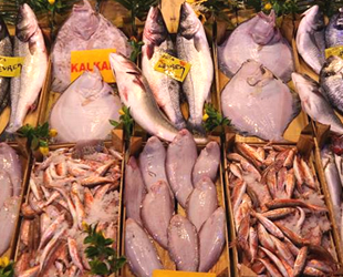 İstanbullu balıkçılar denize döndü, fiyatlar normalleşti