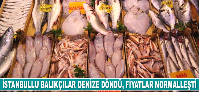 İstanbullu balıkçılar denize döndü, fiyatlar normalleşti