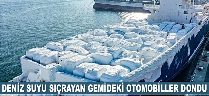 Deniz suyu sıçrayan Sun Rio isimli gemideki araçlar dondu