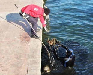 Samsun'da dalgıçlar, deniz dibi temizliği yaptı