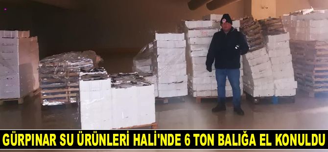 Gürpınar Su Ürünleri Hali’nde 6 ton balığa el konuldu