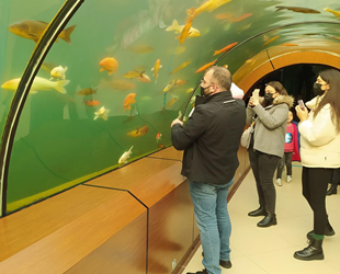 Bursalılar, tünel akvaryumda şehrin stresini atıyor