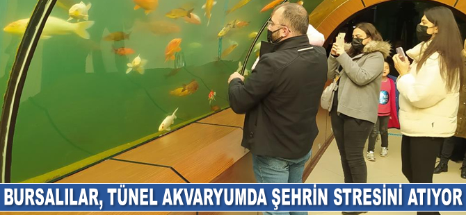 Bursalılar, tünel akvaryumda şehrin stresini atıyor