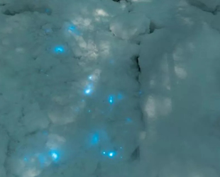 Kuzey Kutbu'nda parlayan kar bulundu