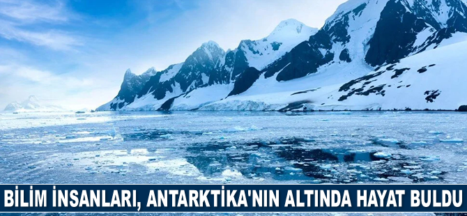 Bilim insanları, Antarktika'nın altında hayat buldu